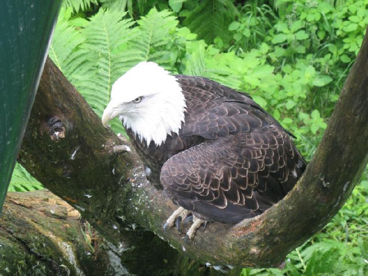 zoo 011.JPG